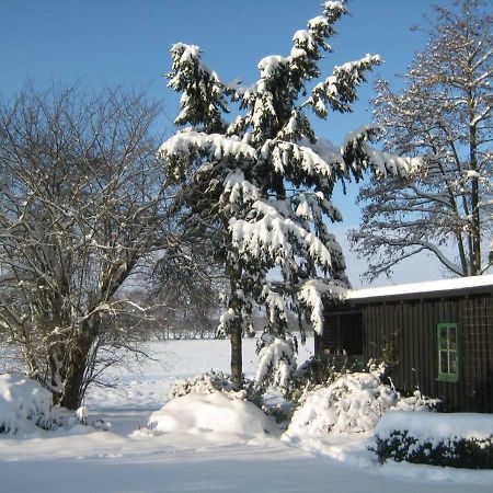 Вілла Ferienhaus Uchte / Darlaten Екстер'єр фото